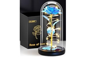 ‎OTLONPE Otlonpe Geschenke für Frauen/Sie Valentinstag Ewige Rose im Glas Geburtstagsgeschenk für Frauen/Mama/Freundin/Oma, Ewige Rose mit LED Licht Muttertagsgeschenke für Mama