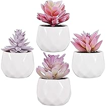 Piantine Grasse Artificiali 2 Modelli Assortiti Con Vasetto In Ceramica Bianco 6pz 84208 9 8x9 8x19 3 Cm 8054134784208