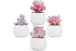 Zalava Plantas Artificiales Decorativas, 4Pcs Plantas Suculentas Pequeñas en Maceta para Hogar, Oficina, Baño, Cocina, Interior y Exterior
