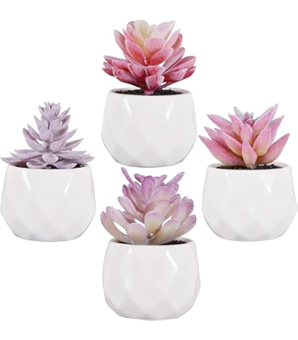 Der Rose Set van 2 vetplanten kunstmatige mini nep vetplanten voor kantoor bureau accessoires voor vrouwen roze woondecoratie