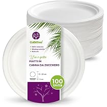 Piatti Di Carta Quadrati Biodegradabili, 25,4 Cm, Piatti Usa