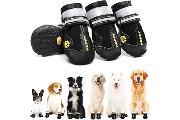 KUTKUT Dog Pack of 4pcs Boots, Waterproof Dog Shoes, Dog Booties with Reflective Rugged Anti-Slip Sole & Skid-Proof, Outdoor Dog Rain Boots for Medium to Large Dogs, Four Ways Stretch Paw Protectors (Size: 6)