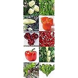 Historische Ungarische Paprikasorten im Set: 10 bestimmte Sorten 100 Samen, von unserer ungarischen Farm samenfest, nur organ