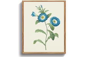 MHARTK66 Quadri Vintage Botanico Soggiorno con Cornice Legno, 30x40 cm Stampe da Parete Gloria Mattutina Blu Fiori Illustrazione, Quadro Camera da Letto Su Tela Decorazioni Parete Desktop Arte Bagno