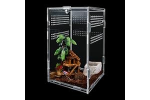 PlsMupn Scatola Alimentazione per Insetti, Acrilico Rettile Caso di Allevamento Trasparente, 12 x 12 x 20 cm Contenitori per Terrari per Ragno Lucertola Scorpione Millepiedi Rana Cornuta Coleottero