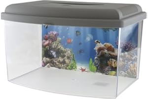 Georplast Acquario con Coperchio 5,5 Litri, Colori assortiti, 1 Unit