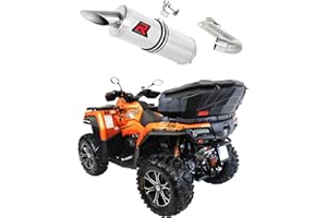 DOMINATOR Pot d'échappement Silencieux ST compatible avec C Force 1000