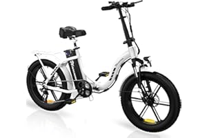 EVERCROSS EK6 Bicicletta Elettrica Adulti, Pieghevole E-Bike con Pneumatico Grasso 20"x4.0, Bici Elettrica da Montagna con 7 velocità, Batteria 48V15Ah, Motore 250W, Peso 33,2kg, Doppio ammortizzatore