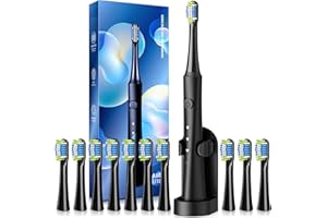 TEETHEORY Upgraded Version-Sonic Electric Toothbrush for Adults with 10 Brush Heads, Power Electric Toothbrush with 40000 VPM 3 Modes