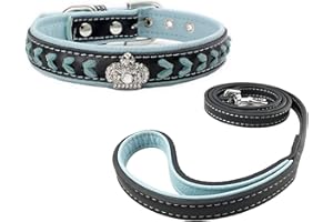Newtensina Dog Collar and Lead Set Nylon Straps Woven Bling Collar Leather Diamante Puppy Collar with Leash for Dogs - Blue - S