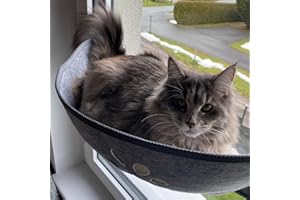 Aoresac Katzen Fensterliege Fensterplätze mit Matten und Saugnapf für Sonnenbaden, Bis zu 20 KG, 70 cm x 29 cm