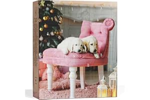 [ BOXILAND ] BOXILAND® Hunde Adventskalender 2025 [MIT 24 LECKERLIES] – Weihnachtskalender Geschenk – Geschenkidee Hunde (Hergestellt in DE)