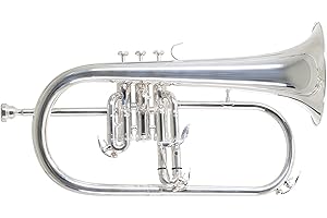 Roy Benson Flicorno FH-302S (con foro MS da 11 mm, campana in ottone dorato, valvole in acciaio inossidabile, inclusa custodia rettangolare leggera, con funzione di zaino, dimensioni: 6"), argentato