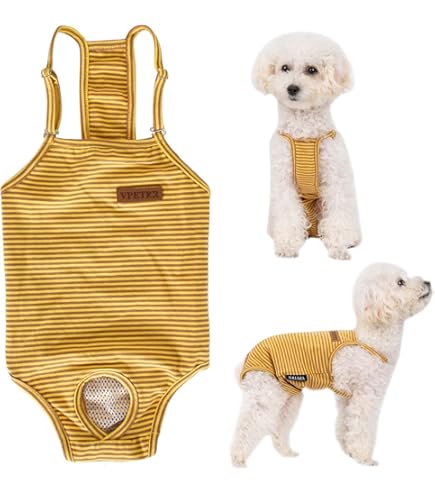 Avont Luiers voor vrouwelijke honden, verstelbaar met riem, broekje voor hond, vrouwelijk, warm, zeer herbruikbaar, zwart/roze/paars, 3 stuks