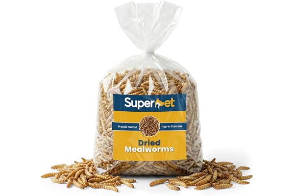 5 kg de vers de farine séchés pour oiseaux sauvages