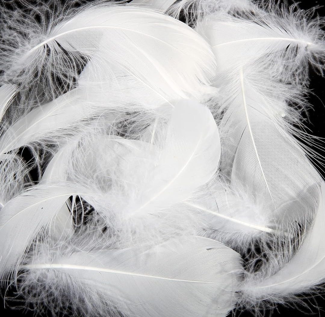 VRB DecTM 90 Pcs Natural Dyed Feathers for Crafts/Craft Materials/Art and Craft kit & Dream Catcher Making Feathers for Kids