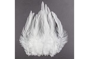 WANGRUIDA Lot de 200 plumes de coq Blanc de 12,7 à 17,8 cm pour travaux manuels plumes naturelles de faisan boucles d'oreilles pendentifs, attrape-rêves