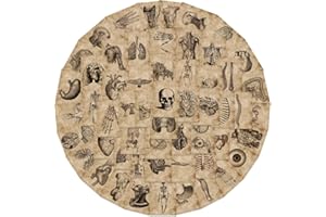 APAREAL Sticker Set 50 Stück, Menschliches Skelett Aufkleber Graffiti Decals für Laptop Fahrrad Skateboard Snowboard Koffer Scrapbook, Wasserfeste Vinyl Vintage Schädel Sticker für Teenager Erwachsene