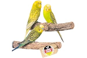 Vogelgaleria® 2er Korksitzstange Wellensittich Nymphensittich 20cm| Kork Sitzstangen mit Korkrinde zum Sitzen und Knabbern | Vogelsitzstange und Vogel Stange für Krallenpflege | Korksitzbrett