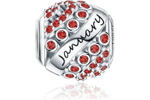 FOREVER QUEEN Women's Birthstone Charms for Bracelet 925 Sterling Silver Bead Charms,Birthday Gift With Jewelry Box