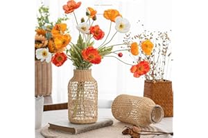 Tiamu Jarrón de Cristal, Vases de Cristal Jarrón Decoracion, de Paja Antideslizante para de Estar/Cocina/Mesa/Oficina/Boda/(10,5 x 20 x 7 cm)