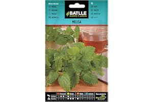 SEMILLAS BATLLE Semi di erbe di Batlle - Melissa (Seeds - 60cm)