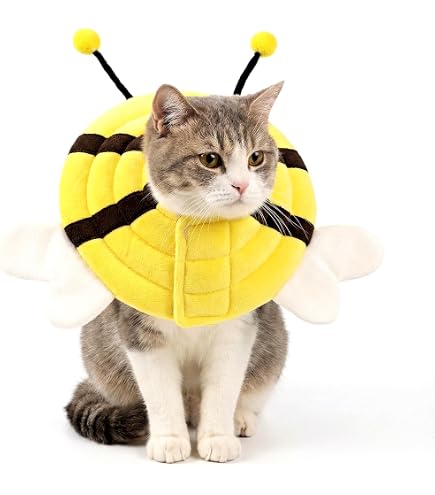 Collare Protettivo Per Ferite Al Collo Del Gatto – Cono Traspirante E Imbottito Per Il Recupero Post-operatorio – Regolabile E Leggero Con Morbida Spugna