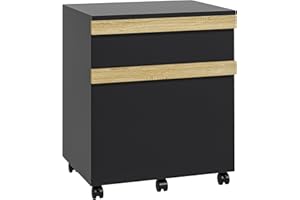 Vinsetto Caisson de Bureau à roulettes Meuble de Rangement Mobile avec 2 tiroirs coulissants trieur à dossiers 48 x 40 x 59,5 cm Noir