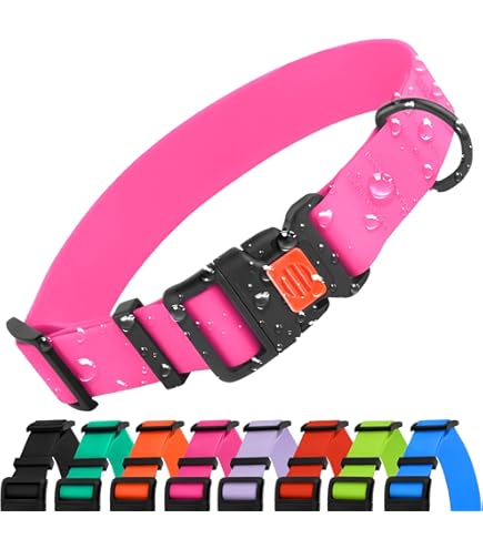 Biothane Hundehalsband Mit Dornschnalle – Schmutz- & Wasserabweisend, Gelb, Halsumfang 30-40 Cm