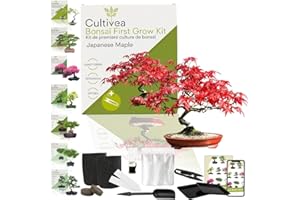 CULTIVEA Kit First Bonsai – Autocultivo de Bonsáis con Semillas y Herramientas – Fácil y Completo | Idea de Regalo (Bonsai Arce Japonés)
