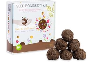 Cultivea - Kit de Huerto DIY con Bombas de semillas - Semillas de flores para plantar para las abejas - Semillas 100% ecológicas - Actividad manual para hacer con los niños - Ideal para regalar