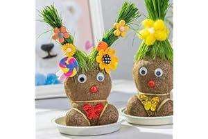 TAOLE Muñeco Crece Pelo Hierba | 2 Piezas Maceta De Cabeza De Muñeca | Plantas Verdes De Escritorio | Planta De Cabeza De Hierba Que Crece En Macetas De Bonsái | Plantas En Maceta Regalos Para Niños