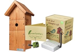 SPYCAMERACCTV Green Feathers Wildlife Bird Box Wireless SD 700TVL Video Camera With Complete DIY Timber Chalet Style Bird Nest House Box