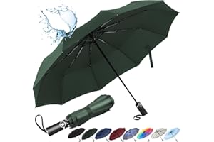 inaWarm Parapluie Pliant Automatique, Parapluie Compact Solide Anti Vent avec Revêtement en Téflon 210T et 10 Baleines en Fibre de Verre, Parapluie de Voyage pour Hommes et Femmes