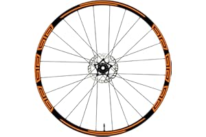 DualColorStampe Autocollants pour jantes de vélo 26" - 27,5" - 28-29" Pouces Roue de Vélo VTT Stickers Jantes VTT Accessoires VTT B0048 (28-29'' Pouces, Orange)