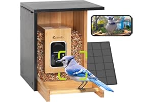 Netvue by Birdfy -Mangiatoia per Uccelli con Videocamera e Solare, Telecamera per il Birdwatching con Bambù Ecologico, Identificazione IA di Uccelli, Cattura Automatica Video e Ricevi Notifiche