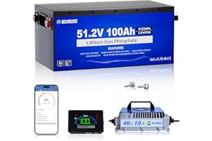 DCHOUSE 48V 100AH Batterie Lithium pour voiturette de golf avec chargeur 48V 18A, Bluetooth BMS à cycle profond, coupure à basse température pour voiturettes de golf, moteurs électriques (boîtier métallique)