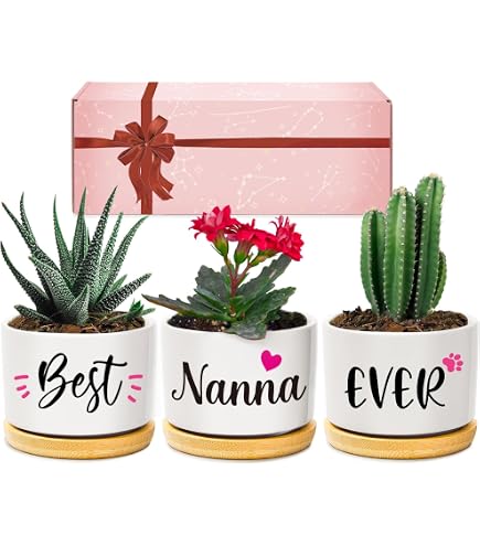 Tazza Nonna Dinosauro Regalo Compleanno e Festa della Nonna Ceramica