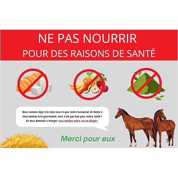 Plaque Pectorale De Chasse Nunn Finer – Taille Cheval, Inox, état Neuf/occasion