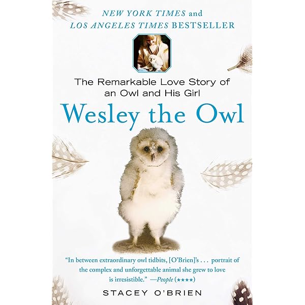 Wesley The Owl The Remarkable Love Story Of An Owl And His Girl English Edition Ebook O Brien Stacey Amazon Fr Boutique Kindle