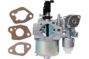 OUYFILTERS Carkio Compatible with Moteurs Subaru Robin 277-62301-30 277-62302-30 277-62303-20 277-62301-60 EX17D EP17 EX17 EX17