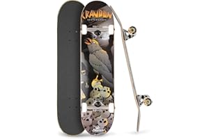 Crandon Skate Principiantes y Profesionales Skateboard Completo | Monopatínes | Patinetes | Madera Arce Canadiense 7 Capas. Disponible Tres Medidas 7,75 | 8 | 8,25 Pulgadas