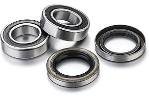 FACTORY LINKS Rear Wheel Bearing Kit: Beta - RR - RS - Xtrainer