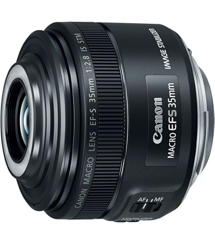 Canon EF-S 35 mm f/2.8 Macro IS STM Camera Lens - Black: Amazon.co