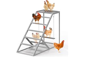NANDAE Chicken Coop Perches with Swing, Metal Chicken Toys for Hens with Swing & Ladder, Chicken Run Accessories for Healthy Pets, Durable & Easy Clean Poultry Playground for Backyard Farm