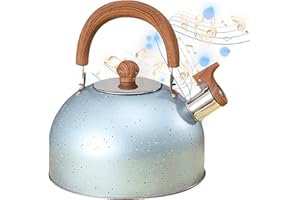 Lecerrot Bouilloire Sifflante Induction, Bouilloire À Sifflet en INOX 2L avec Poignée, Théière Bouilloire Sifflante, Bouilloire À Thé Sifflante avec Poignée Résistant À La Chaleur, pour Feux