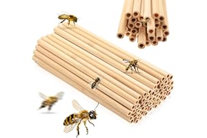 XINGWENHAO 52 Pcs Mason Bee House TubesNatural Bamboo Tubes for Bee Nesting Tubess, Hollow Reed Nest Tubes Inserts Replacement Liners for BeesHotel House Box Beekeepers Solitary Bees(8 x 200mm)
