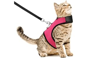VavoPaw Harnais et Laisse pour Chat, Harnais Anti-évasion Réglable avec Clochette de Sécurité, Harnais en Maille Respirante Rembourrée pour Petit Animal, Gilet pour Chaton Chiot Cochon d'Inde, M, Rose