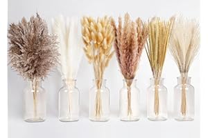 Trockenblumen Set, Doerfeell 130 PCS Pampasgras Hasenschwanzgras Getrocknet Natürliche Trockenblumen Deko Pampas Grass DIY Blumenstrauß für Hause Wohnzimmer Badezimmer Tisch Schlafzimmer Hochzeits