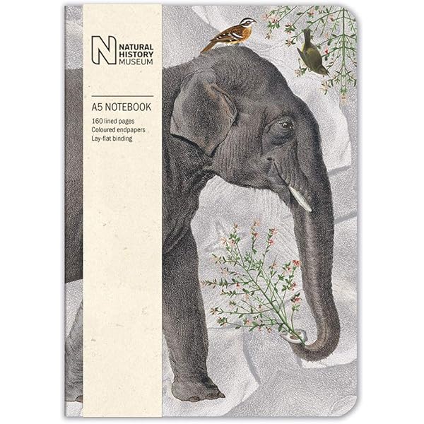 Don't Forget Elephant Notebook: Grey Elephant Lined Notebook Journal 6″ X 9″ Inches 120 Pages: Elephant Notebooks And Journals | Cute Elephant … Journal, Notebook, Diary, Composition Book